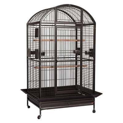 A&E Cage HQ Dome Top Cage, XL, Platinum