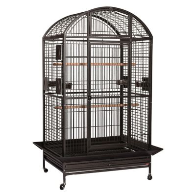 A&E Cage HQ Dome Top Cage, XL