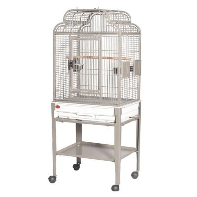 A&E Cage HQ Open Fancy Top Cage, Platinum