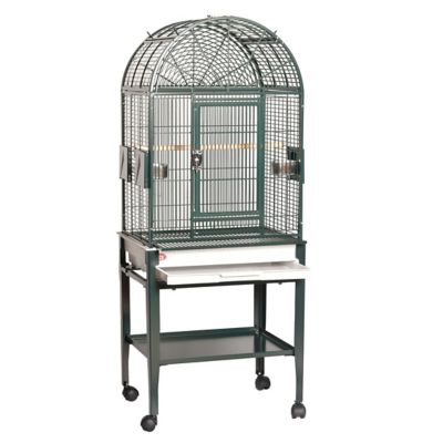 A&E Cage HQ Open Dome Top Cage, Green