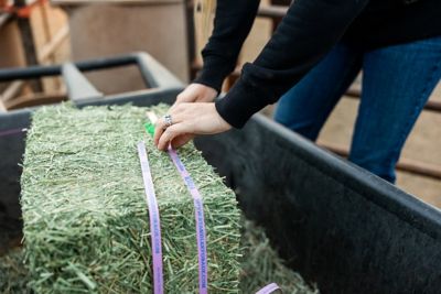 Standlee Alfalfa Compressed Full Truckload