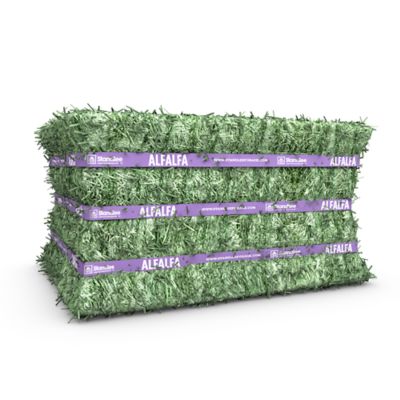 Image showing  Alfalfa Compressed Full Truckload