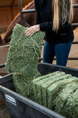 Image showing  Alfalfa Compressed Full Truckload