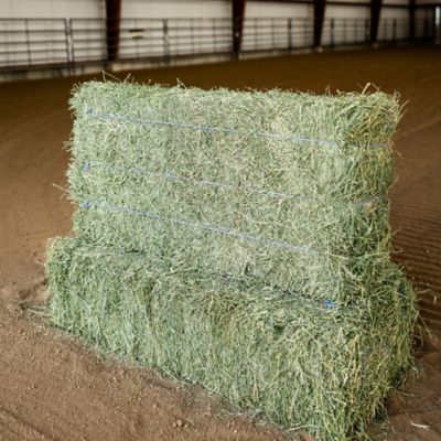 Image showing  Alfalfa 3-Tie Full Truckload, 364 Bales
