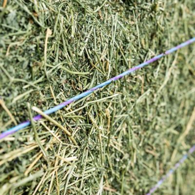 Image showing  Alfalfa 3-Tie Full Truckload, 364 Bales
