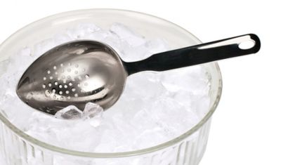 Image showing  Endurance Stainless Steel Ice Scoop