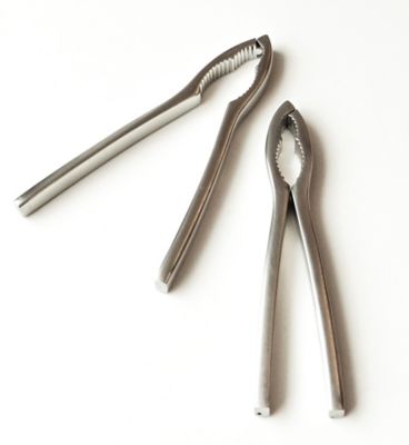 Image showing  Endurance Stainless Steel Shellfish Cracker Tool Set