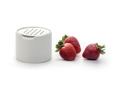 Image showing 2 th RSVP International Endurance Stainless Steel Fruit Fly Trap