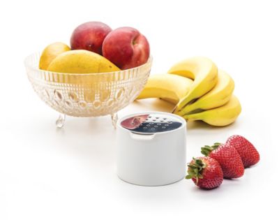 Image showing 4 th RSVP International Endurance Stainless Steel Fruit Fly Trap