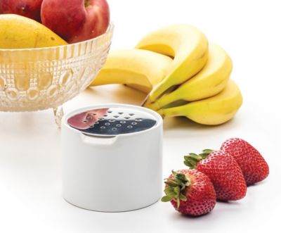 Image showing 5 th RSVP International Endurance Stainless Steel Fruit Fly Trap