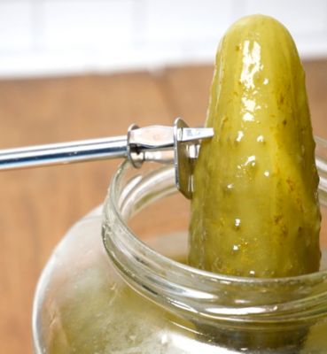 Image showing  Endurance Stainless Steel Long Reach Pickle Fork