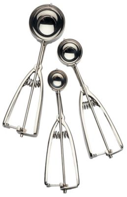 Image showing  Endurance Stainless Steel Spring Scoop