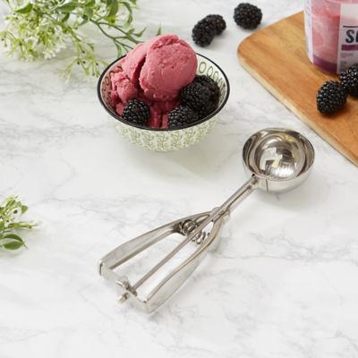 Image showing  Endurance Stainless Steel Spring Scoop