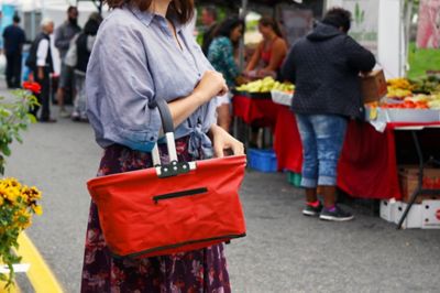 Image showing  Lightweight Collapsible Market Basket with Padded Handle