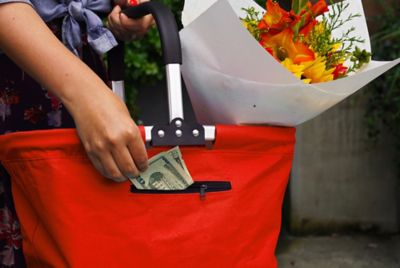 Image showing  Lightweight Collapsible Market Basket with Padded Handle