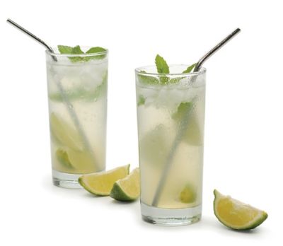 Image showing  Endurance Stainless Steel Straw 4 pc.