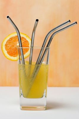 Image showing  Endurance Stainless Steel Straw 4 pc.