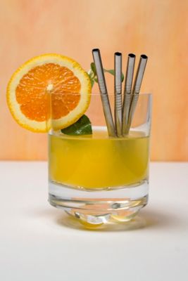 Image showing  Endurance Stainless Steel Straw 4 pc.