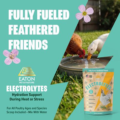 Image showing  Poultry Electrolyte & Vitamin Supplement for Hydration, 8 oz.
