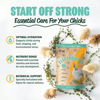 Image showing  Poultry Electrolyte & Vitamin Supplement for Hydration, 8 oz.