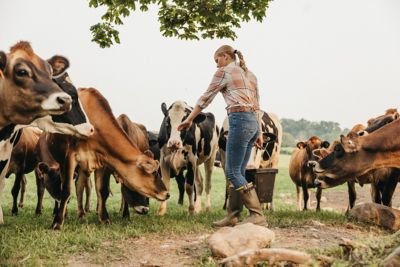 Image showing  Women's Burly Aero 15 in., Dark Olive