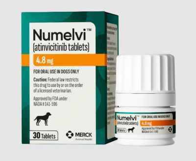 Image showing  Atinvicitinib Tablets for Dogs