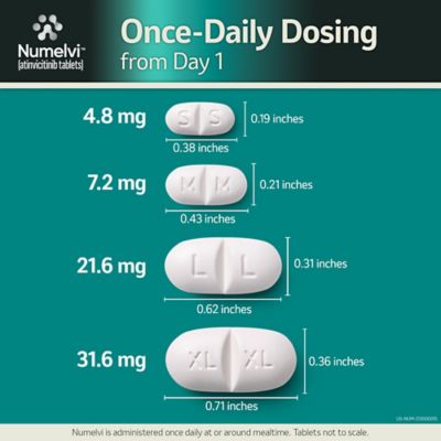 Image showing  Atinvicitinib Tablets for Dogs