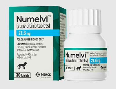 Image showing  Atinvicitinib Tablets for Dogs