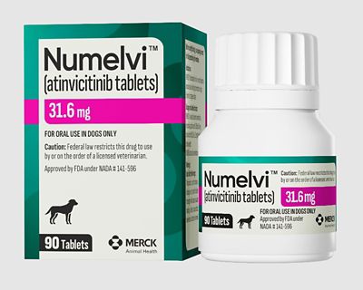 Image showing  Atinvicitinib Tablets for Dogs