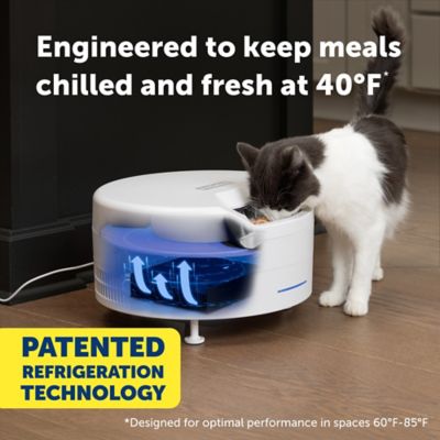 Image showing  FreshFeed Refrigerated Pet Feeder