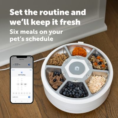 Image showing  FreshFeed Refrigerated Pet Feeder
