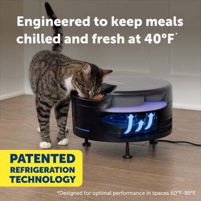 Image showing  FreshFeed Refrigerated Pet Feeder