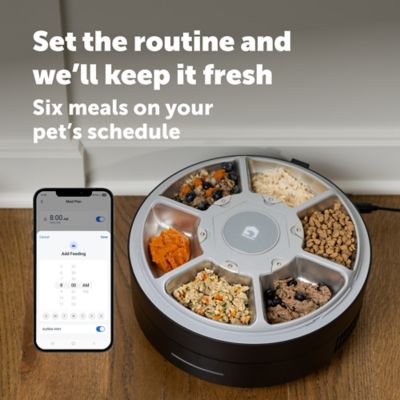 Image showing  FreshFeed Refrigerated Pet Feeder