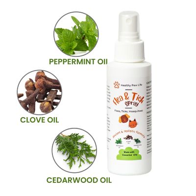 Healthy Paw Life Flea & Tick Spray for Pets - Powered by Plant based Natural Essential Oils