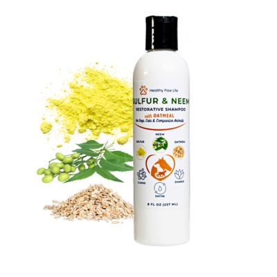 Healthy Paw Life Sulfur & Neem Restorative Shampoo with Oatmeal