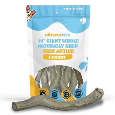 Hotspot Pets Giant Whole Naturally Shed 10 in. Deer Antler Dog Treats, 1 ct.