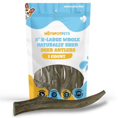 Hotspot Pets X-Large Whole Naturally Shed 8 in. Deer Antler Dog Treats, 1 ct.