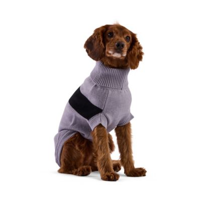 GF Pet Catalyst Sweater