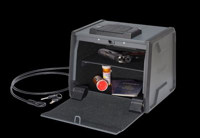 Image showing  Two-Gun DIGI-Vault