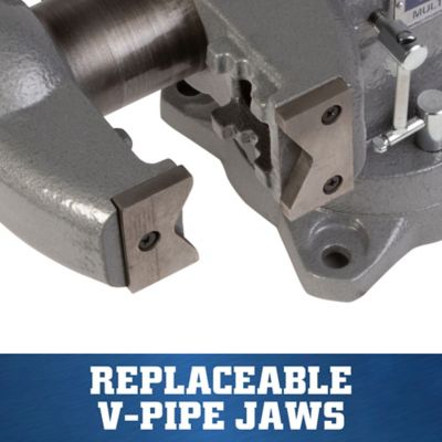 Image showing  5.5 in. MP Appren. Vise