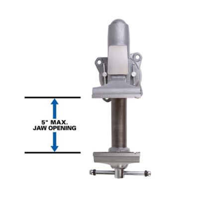 Image showing  5 in. Apprentice Vise