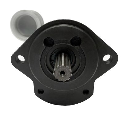 Image showing  Hydraulic Gear Pump for Massey Ferguson 3816909M91