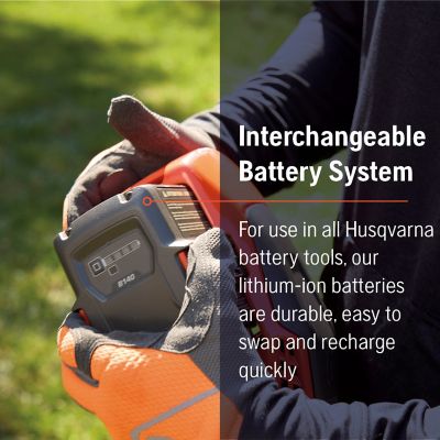Image showing  110iL FLXi with Trimmer Attachment (Battery and Charger Included)