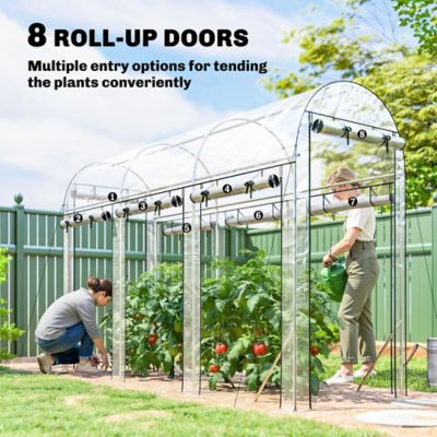 Image showing  Walk-in Tunnel Greenhouse, Hoop House Greenhouse with 8 Roll-Up Doors, 10 x 3 x 6.5ft., Clear