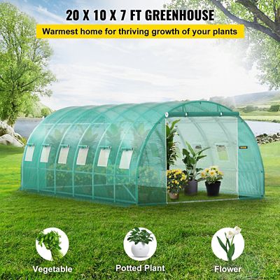 Image showing  Walk-in Greenhouse 20 x 10 x 7 ft. with Steel Hoops, 3 Top Beams, 2 Doors and 12 Windows, Green