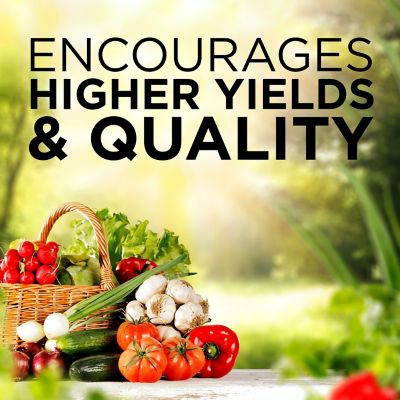 Image showing  Garden Food 5-10-5
