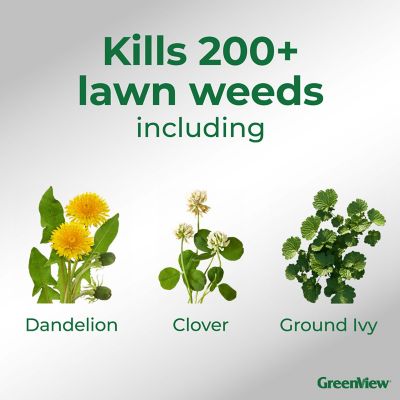 Image showing  Premium Formula Spring Fert Weed & Feed and Crabgrass Preventer 24-0-6