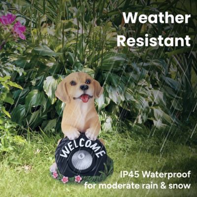 Image showing  Buddy the Puppy Solar Outdoor Garden Statue with Integrated LED Light