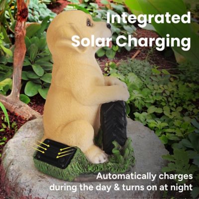 Image showing  Buddy the Puppy Solar Outdoor Garden Statue with Integrated LED Light