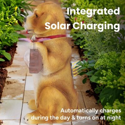Image showing  Barkley the Greeting Puppy Solar Outdoor Garden Statue with Integrated LED Light